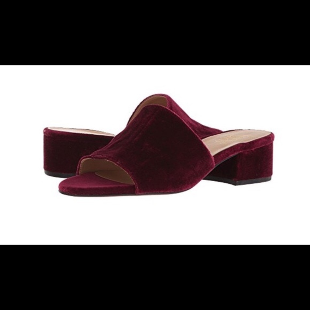 ISO Franco Sarto Tempest Mule in Bordo/Burgundy